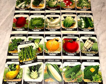 21 diff. Vintage Unused 1920s Lithographed Seed Packs; Card Seed Co., Fredonia NY Warehouse Find! Old Authentic Packets! NOS! Lot #2