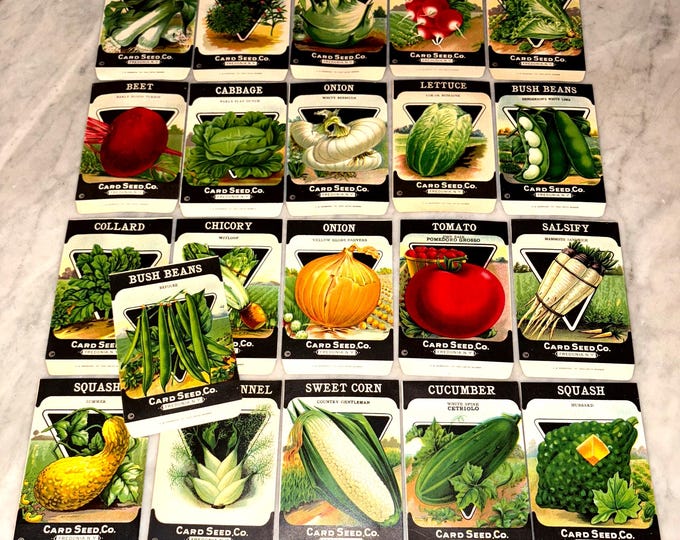 21 diff. Vintage Unused 1920s Lithographed Seed Packs; Card Seed Co., Fredonia NY Warehouse Find! Old Authentic Packets! NOS! Lot #2