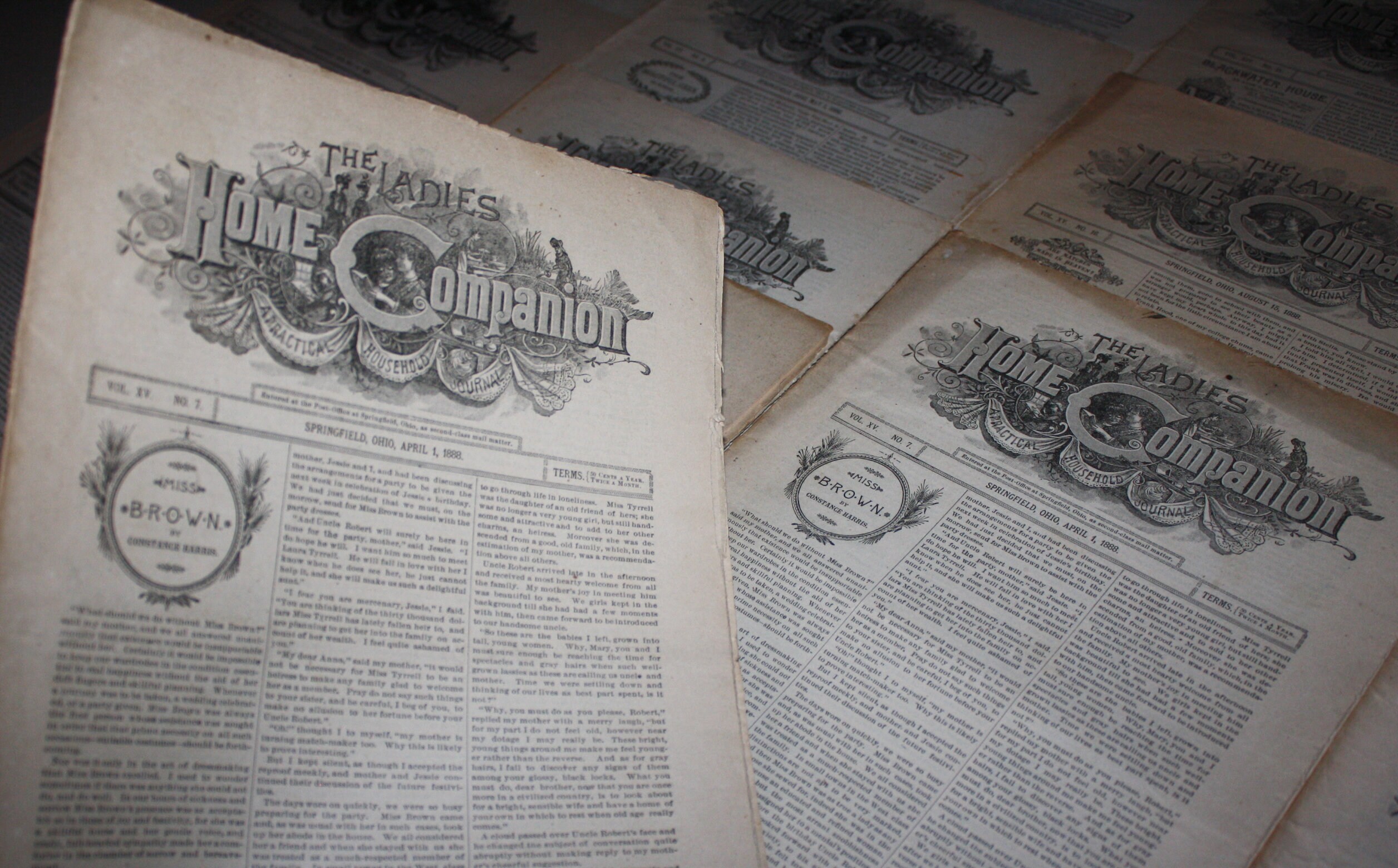 The Ladies Home Companion Magazine Lot of 16 Issues from 18871888