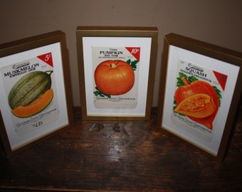 Set of 3 Framed Vintage 1930s Lithograph Seed Packets, Crosman Seed Co., East Rochester NY