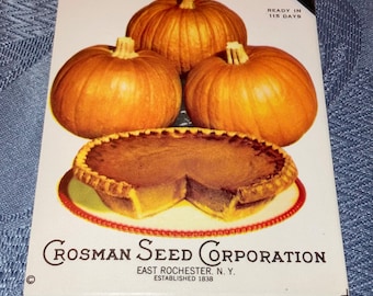 Vintage Crosman Seed Co. Small Sugar Pie PUMPKIN Unused Seed Packet, NOS , Scarce!