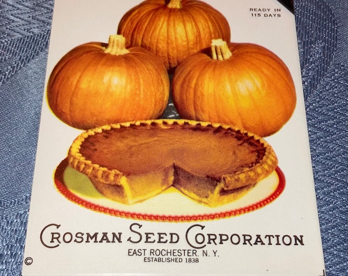 Vintage Crosman Seed Co. Small Sugar Pie PUMPKIN Unused Seed Packet, NOS , Scarce!