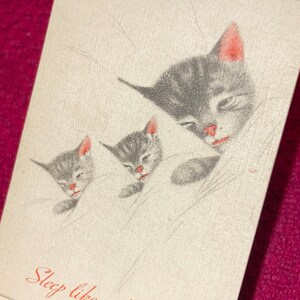 Puede incluir: Una tarjeta de estilo vintage con tres gatitos durmiendo. Los gatitos son grises con orejas y narices rosas, acurrucados sobre una superficie blanca. El texto "Sleep like a Kitten" est&aacute; escrito en rojo en la parte inferior de la tarjeta.