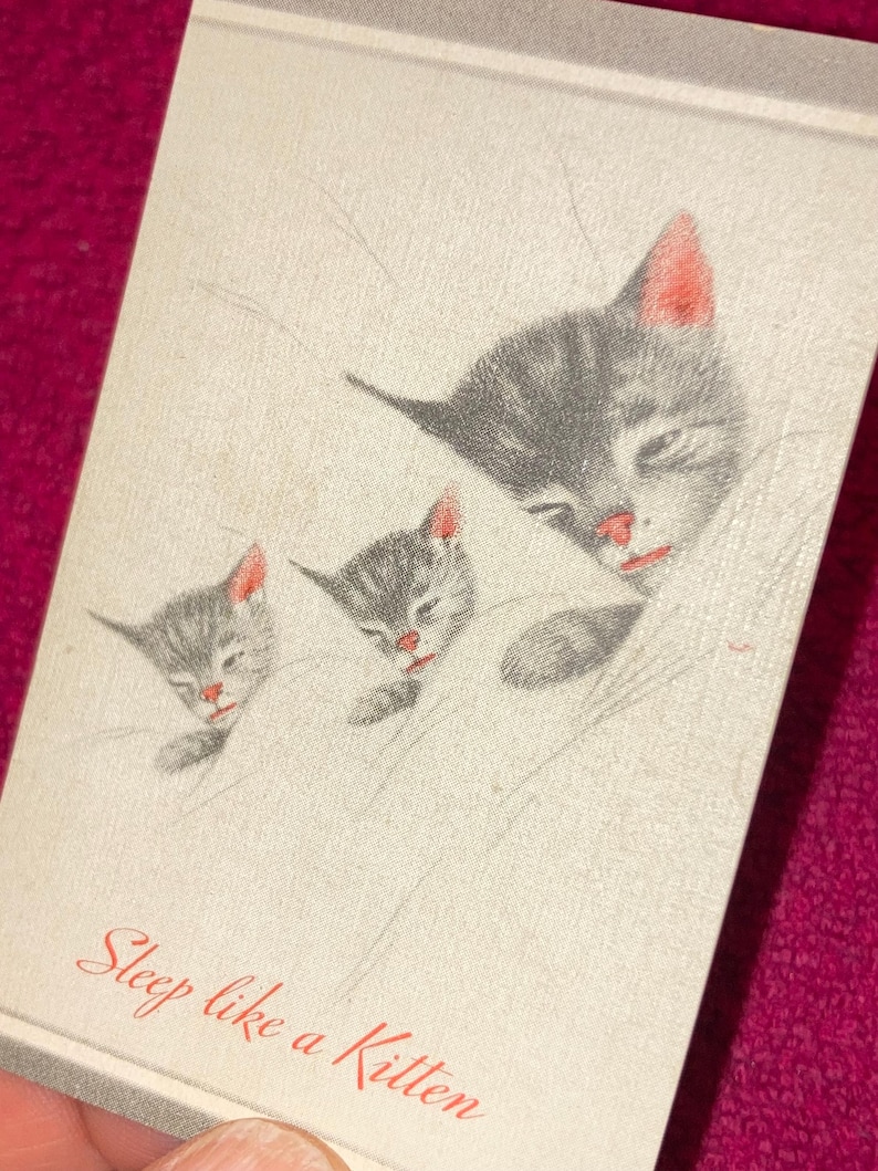 Puede incluir: Una tarjeta de estilo vintage con tres gatitos durmiendo. Los gatitos son grises con orejas y narices rosas, acurrucados sobre una superficie blanca. El texto "Sleep like a Kitten" est&aacute; escrito en rojo en la parte inferior de la tarjeta.