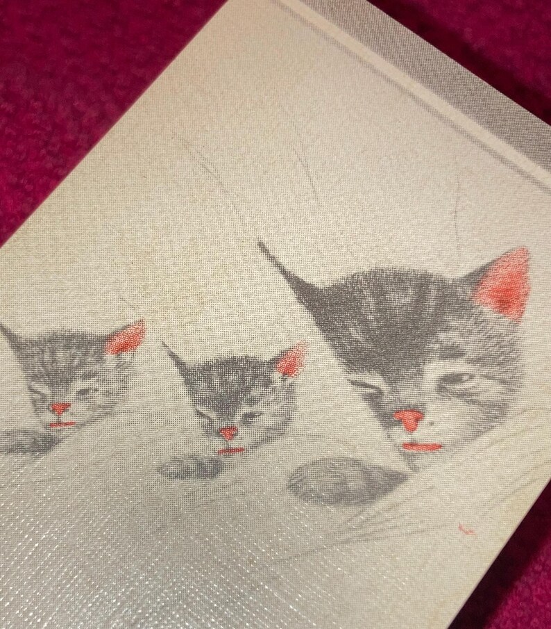 Puede incluir: Primer plano de una tela clara con un patr&oacute;n repetido de tres gatitos grises con orejas y narices rojas. Los gatitos est&aacute;n representados con los ojos cerrados, dando una apariencia pac&iacute;fica.