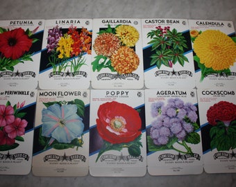 Vintage Flower Seed Packets: 1940s Lone Star Seed Co. (Set of 10)