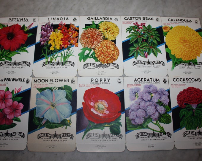 10 Diff. Vintage Unused Old Stock 10 CENT Flower Seed Packs; Lone Star Seed Co., San Antonio, Texas, Warehouse Find! NOS Authentic Packets!