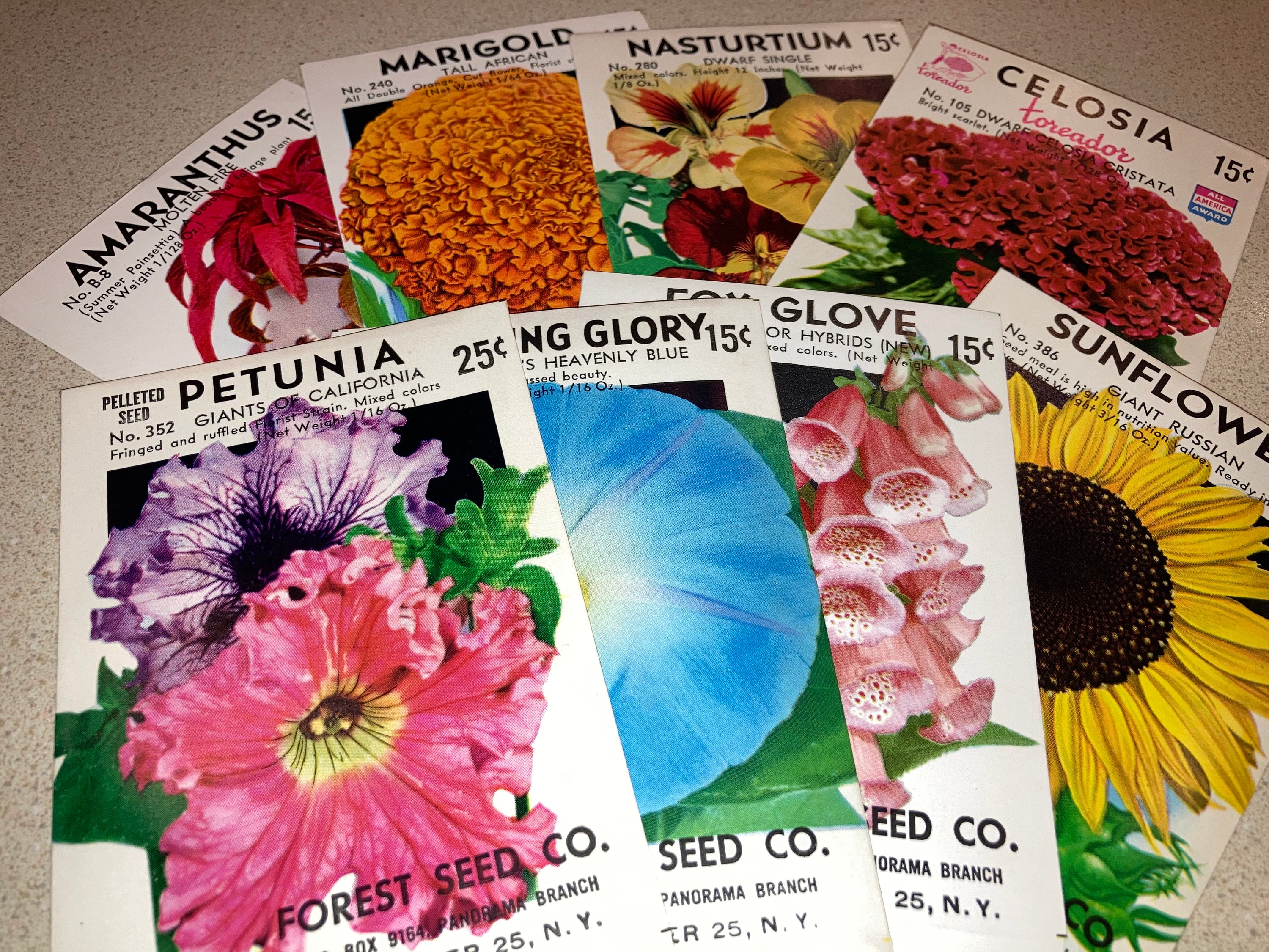 A Collection of 15 Vintage Flower Seed Packets