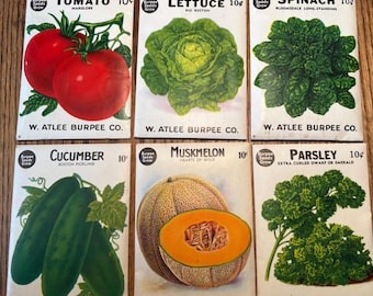 1951 Burpee Seed Packets Unopened with Seeds!