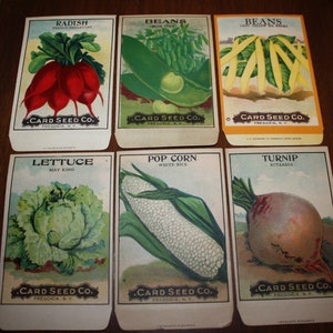 Set of 6 Vintage 1920s Lithograph Vegetable Seed Packets; Card Seed Co., Fredonia NY; NOS Authentic Old Stock