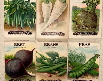 Lot of 6 Early Seed Packets from Card Seed Co. Fredonia, NY
