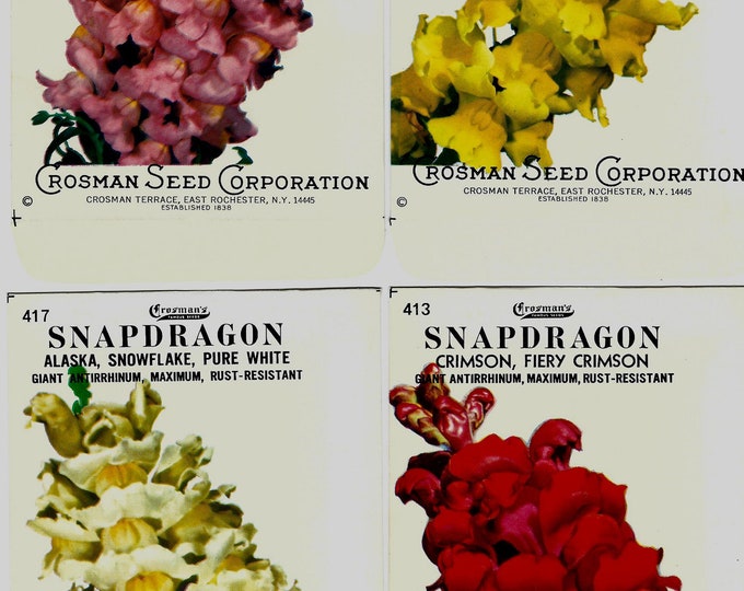 Group of 4 Vintage Snapdragon Seed Packets: Crosman Seed Co. East Rochester, NY; Never used old stock!