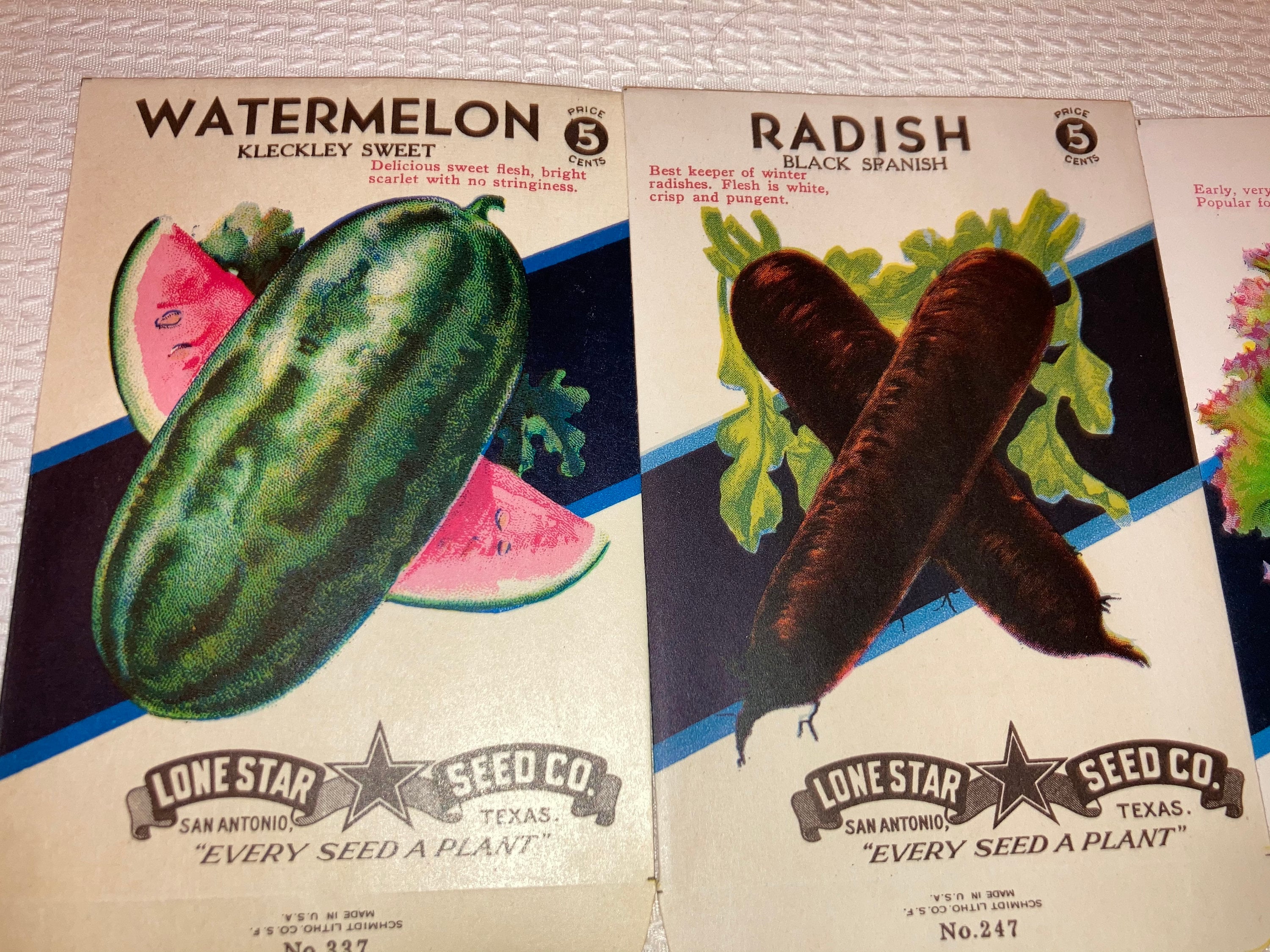 Set of 5 Diff. Vintage Vegetable Seed Packets, San Antonio, Lone Star Texas  L07