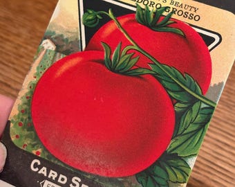 Vintage Original Tomato Seed Packet from Card Seed Co., Fredonia NY; NOS Never Used 1920s Old Stock!