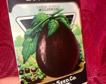Vintage 1920s Card Seed Co. Eggplant Packet NOS Unused Scarce