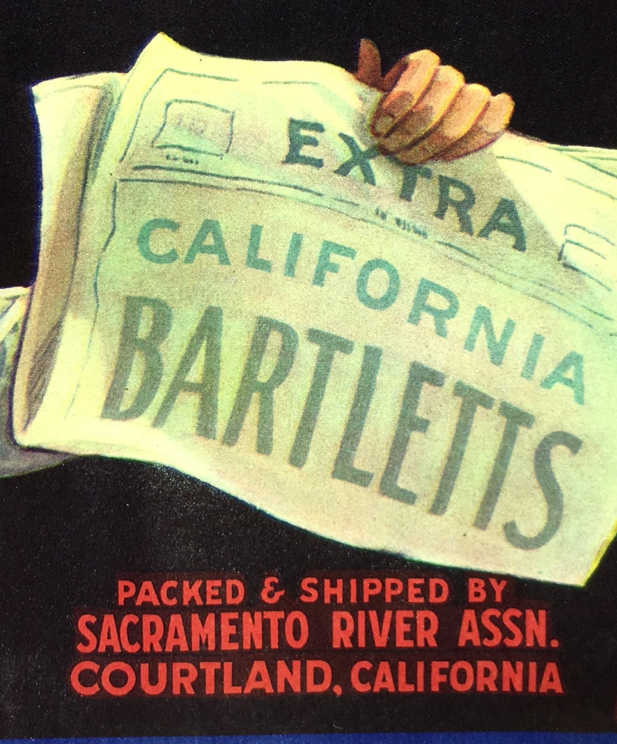 Hustler Brand California Bartletts Fruit Crate Label Postcard