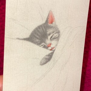 Puede incluir: Tarjeta con un dibujo de un gatito durmiendo. El gatito es gris y blanco con detalles rosas en las orejas y la nariz. El texto "Sleep like a Kitten" est&aacute; en la parte inferior de la tarjeta, con un borde rosa en la parte superior.