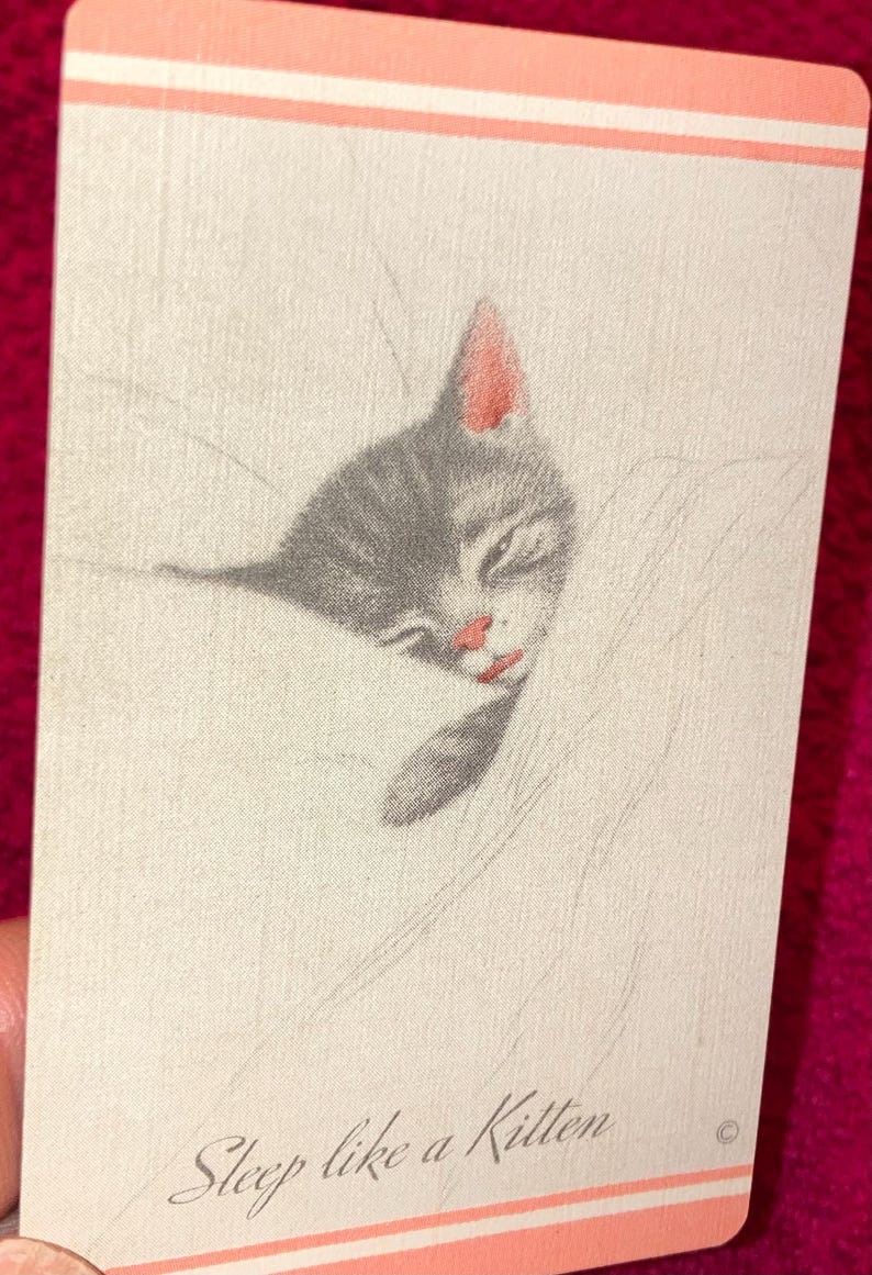 Puede incluir: Tarjeta con un dibujo de un gatito durmiendo. El gatito es gris y blanco con detalles rosas en las orejas y la nariz. El texto "Sleep like a Kitten" est&aacute; en la parte inferior de la tarjeta, con un borde rosa en la parte superior.