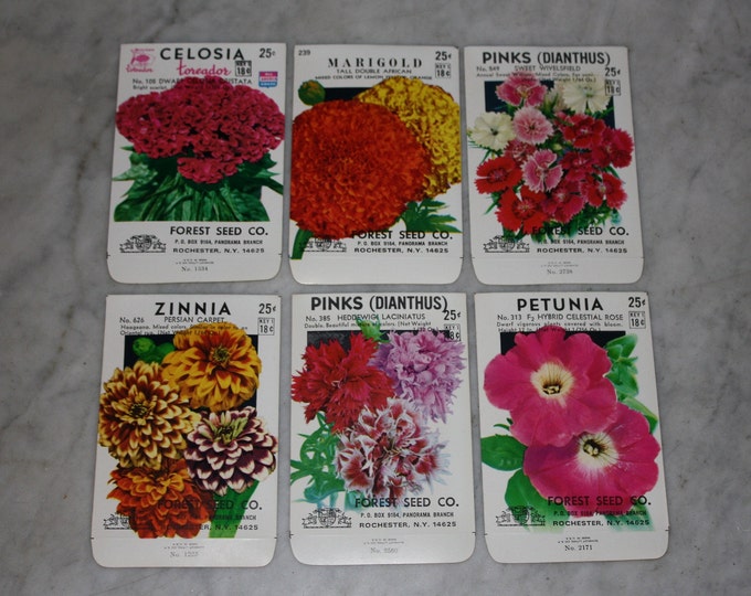 Set of 6 Vintage Flower Seed Packs from Forest Seed Co., Rochester NY; Unused Old Stock; Warehouse Find! NOS Authentic Packets!