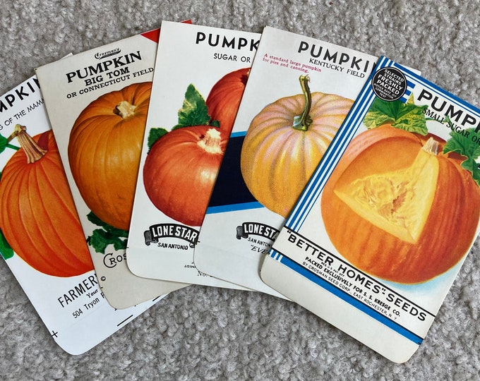 Collection of 5 Different Vintage Pumpkin Seed Packets; NOS, Never Used, Old Stock, Halloween Autumn