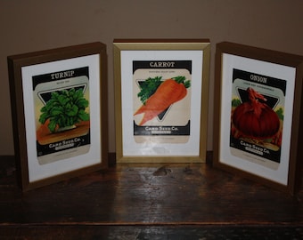 Set of 3 Framed Vintage 1930s Lithograph Seed Packets, Card Seed Co., Fredonia NY