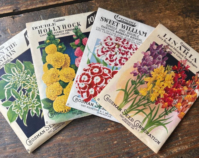 1940s Crosman Seed Co. Vintage Unopened Packets with Flower Seeds!