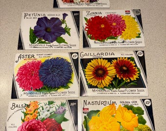 Vintage 1940s Mandeville & King Flower Seed Packets WITH SEEDS! Rochester, NY