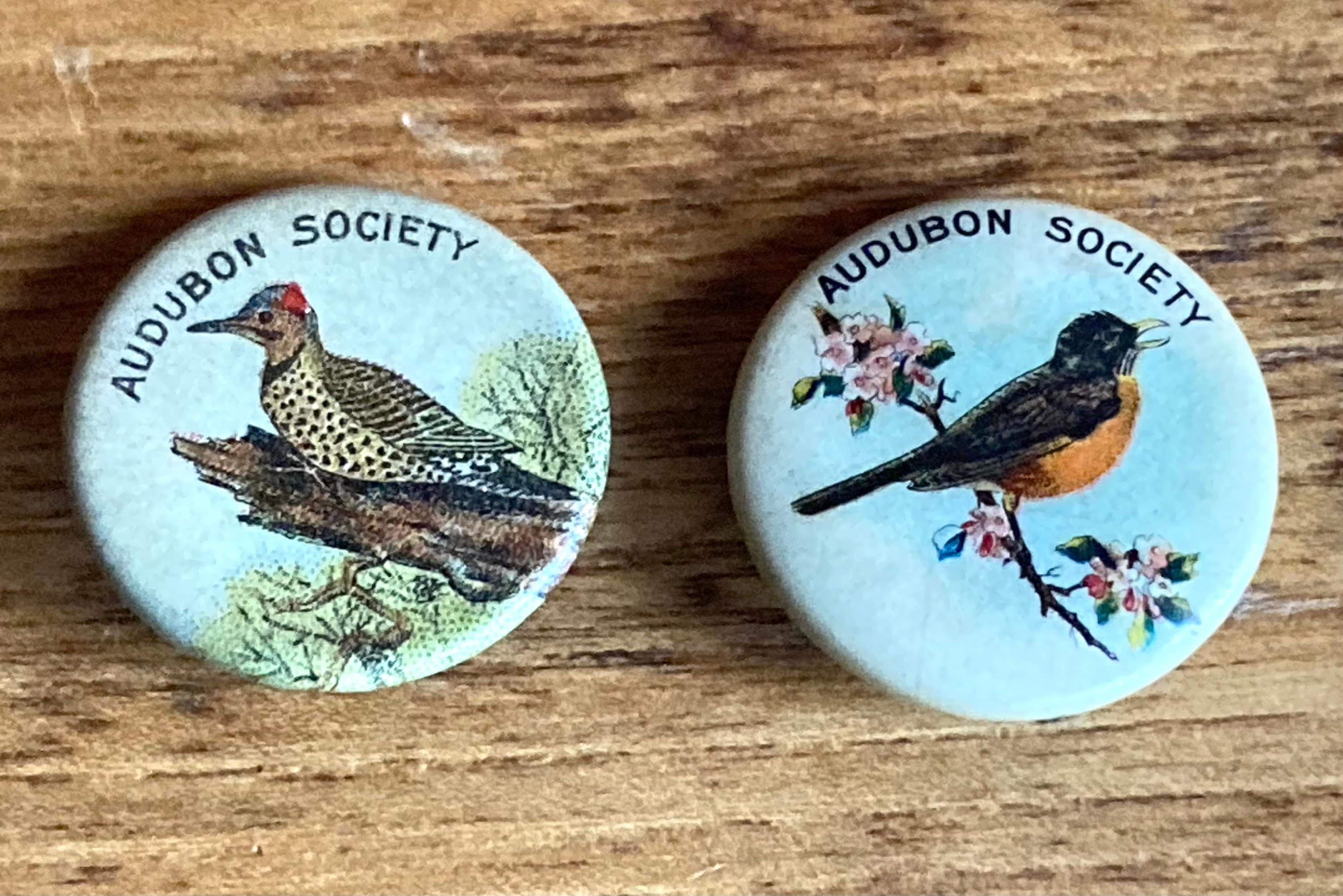 2 Vintage 1917 Audubon Society Bird Pins; Vintage Lithographed ...