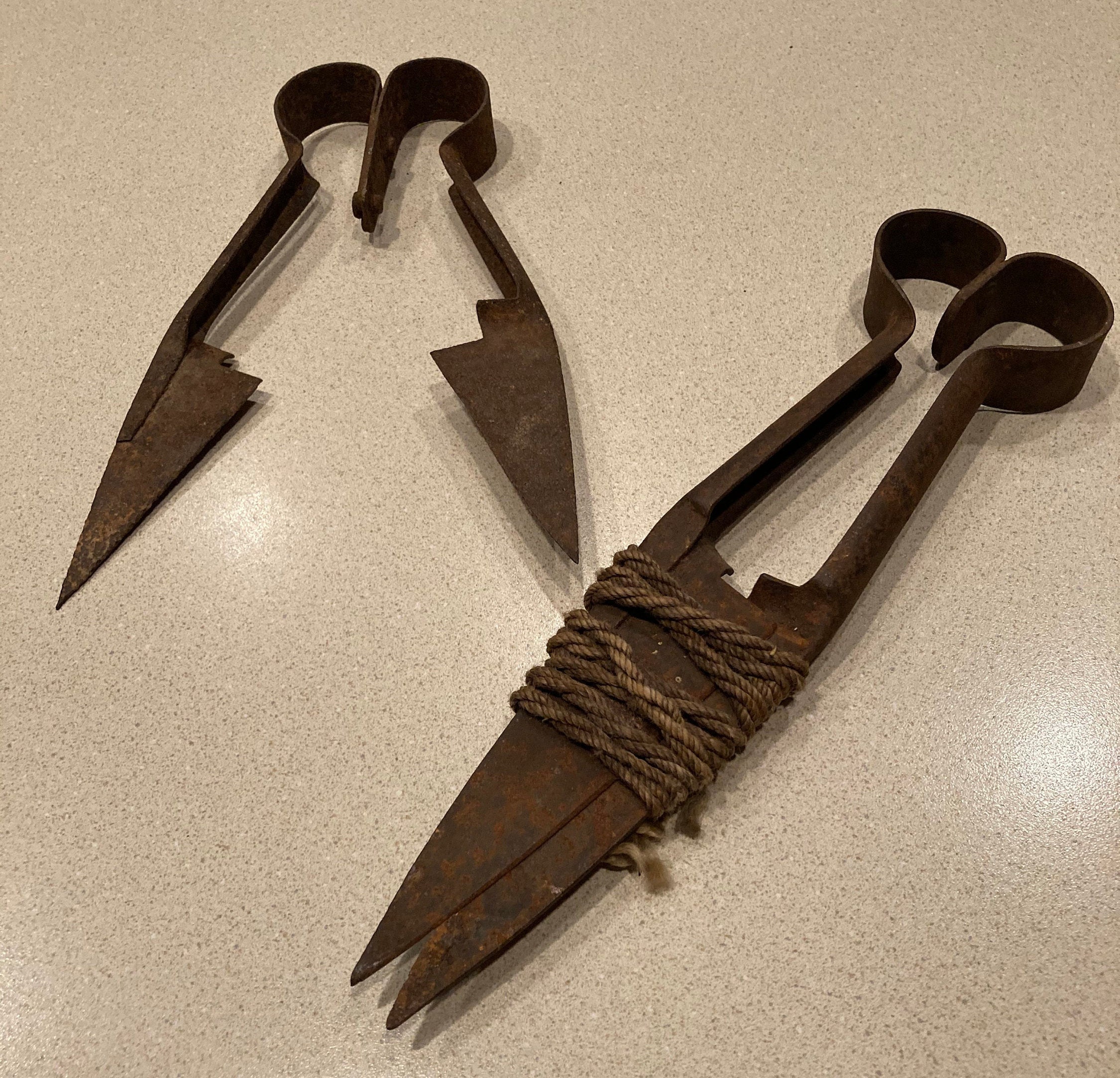 Sheep Shears Andis for sale Only 2 left at 60