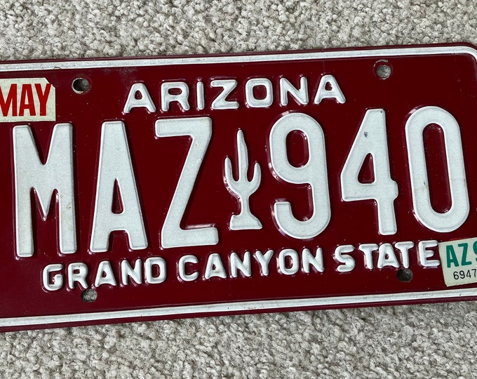 Vintage 1990s Arizona Cactus Vintage Red License Plate. Grand Canyon State.