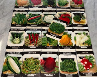 21 diff. Vintage Unused 1920s Lithographed Seed Packs; Card Seed Co., Fredonia NY Warehouse Find! Old Authentic Packets! NOS! Lot #3