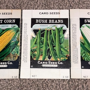 Set di 3 diverse scatole di semi di verdure vintage, Card Seed Co., Fredonia, NY, Old Stock! Magazzino Trova!