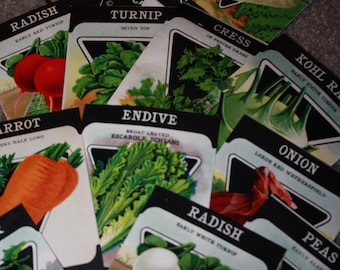 Lot of 14 Vintage Unused 1920s Lithographed Seed Packs; Card Seed Co., Fredonia NY Warehouse Find! Old Authentic Packets