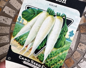 Vintage 1920s Card Seed Co. White Radish Packet NOS Unused, Fredonia NY