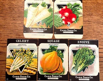 Set of 5 Vintage Original Vegetable Seed Packets from Card Seed Co., Fredonia NY; NOS Never Used 1920s Old Stock!