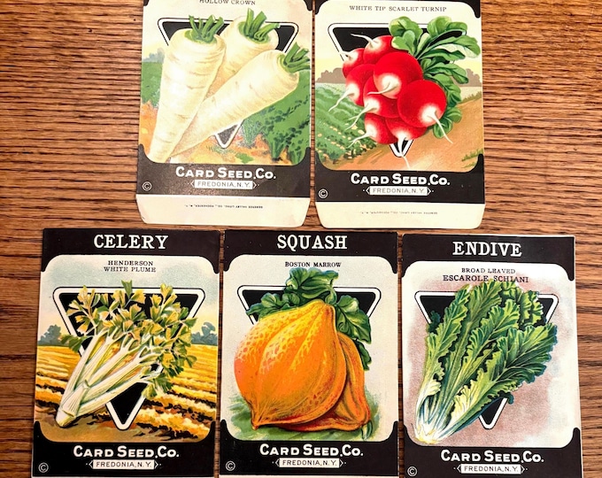 Set of 5 Vintage Original Vegetable Seed Packets from Card Seed Co., Fredonia NY; NOS Never Used 1920s Old Stock!