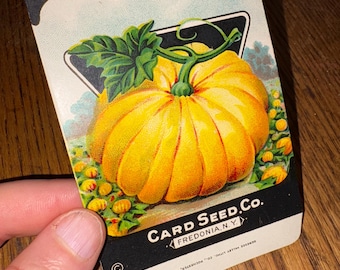Vintage 1920s Pumpkin Seed Packet Card Seed Co., Fredonia, NY Original Old Stock NOS
