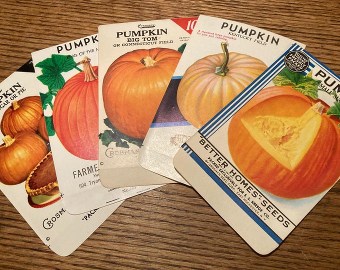 Collection of 5 Different Vintage Pumpkin Seed Packets; NOS, Never Used, Old Stock, Halloween Autumn