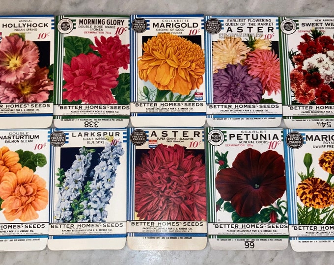 New Find! Lot of 10 Vintage 1934 "Better Homes" Flower Seed Packets from Crosman Seed Co., East Rochester, NY!