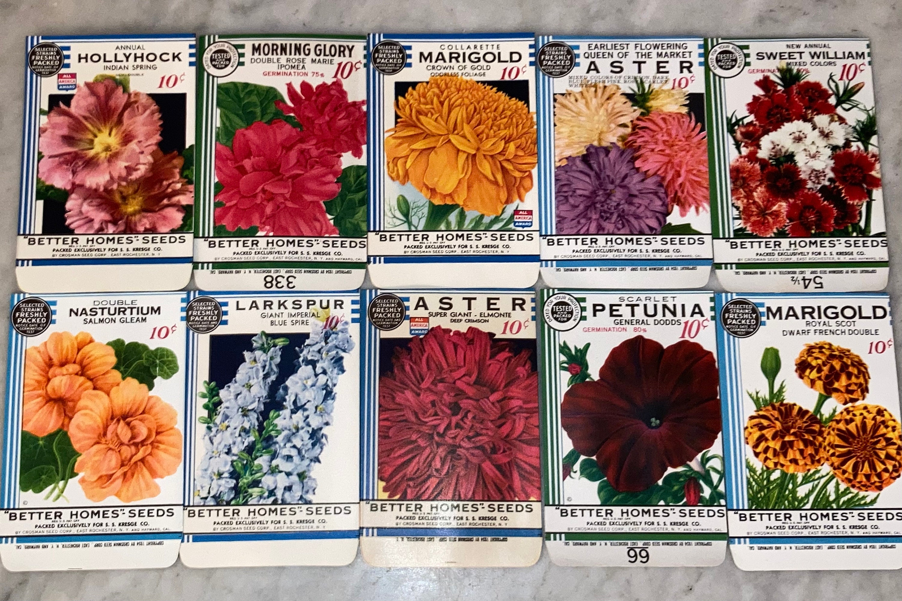 New Find! Lot of 10 Vintage 1934 Better Homes Flower Seed Packets from  Crosman Seed Co., East Rochester, NY!