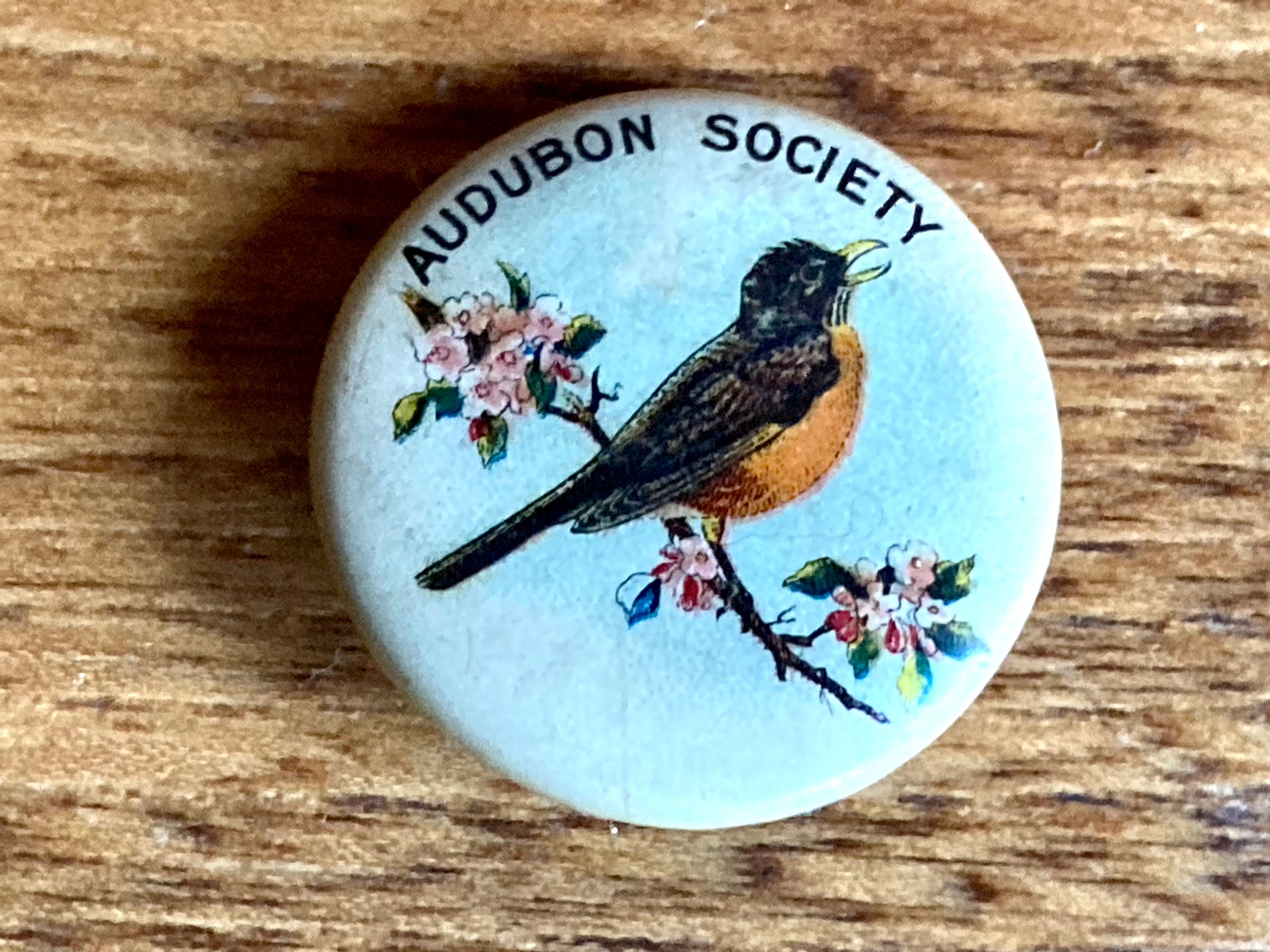 2 Vintage 1917 Audubon Society Bird Pins; Vintage Lithographed ...