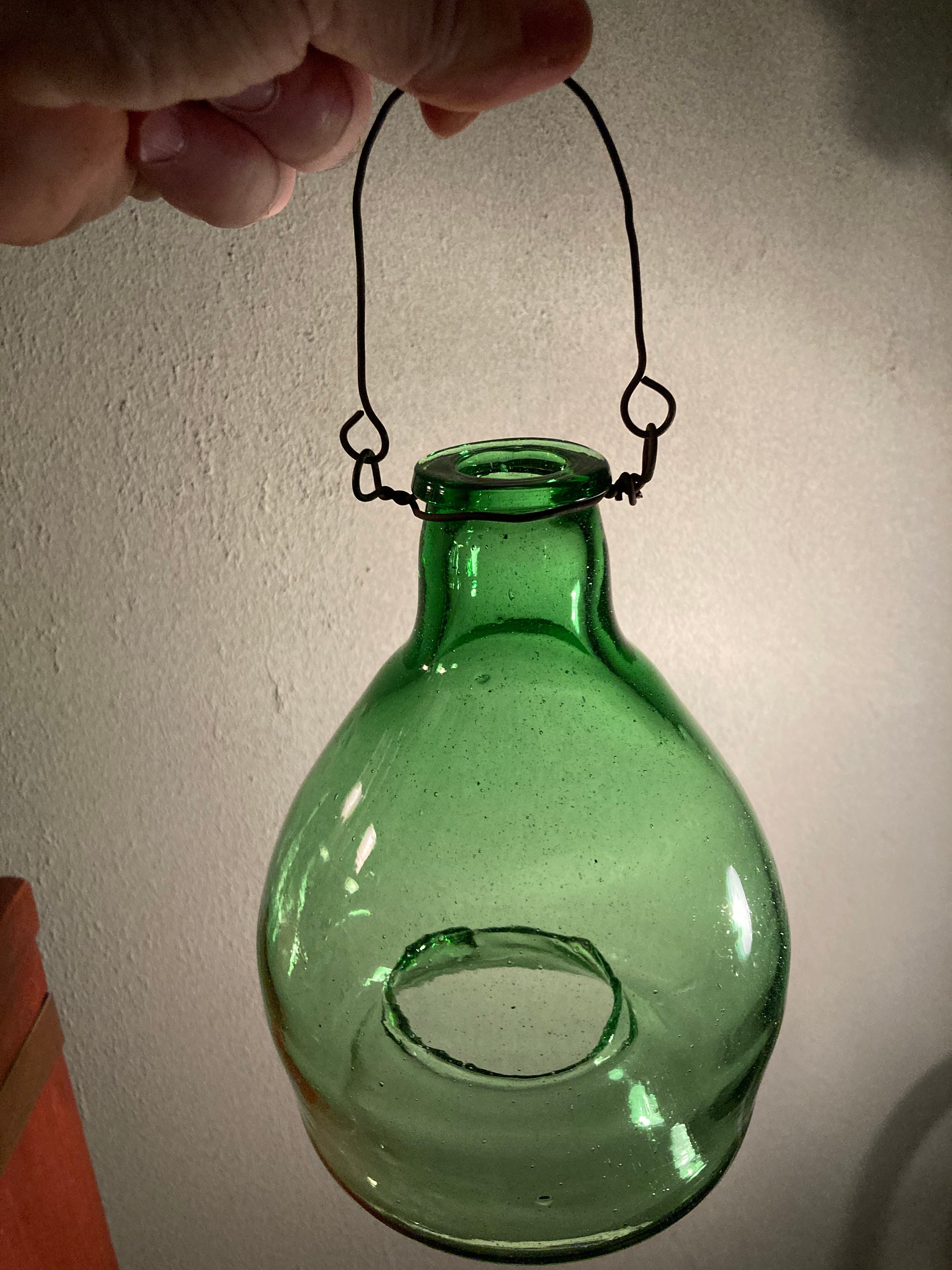 Old Glass Fly Trap At Bridget Huizenga Blog