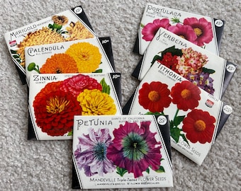 Vintage 1940s Mandeville & King Flower Seed Packets WITH SEEDS! Rochester, NY Unopened Old Stock