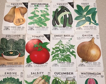 16 Vintage Fruit Vegetable & Herb Seed Packets: Forest Seed Co., Rochester NY; Unused Old Stock; Warehouse Find! NOS Authentic Packs