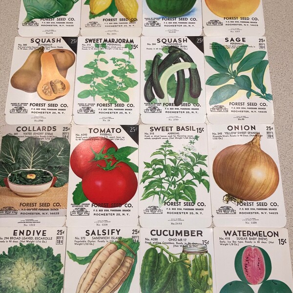 16 Vintage Fruit Vegetable & Herb Seed Packets: Forest Seed Co., Rochester NY; Unused Old Stock; Warehouse Find! NOS Authentic Packs