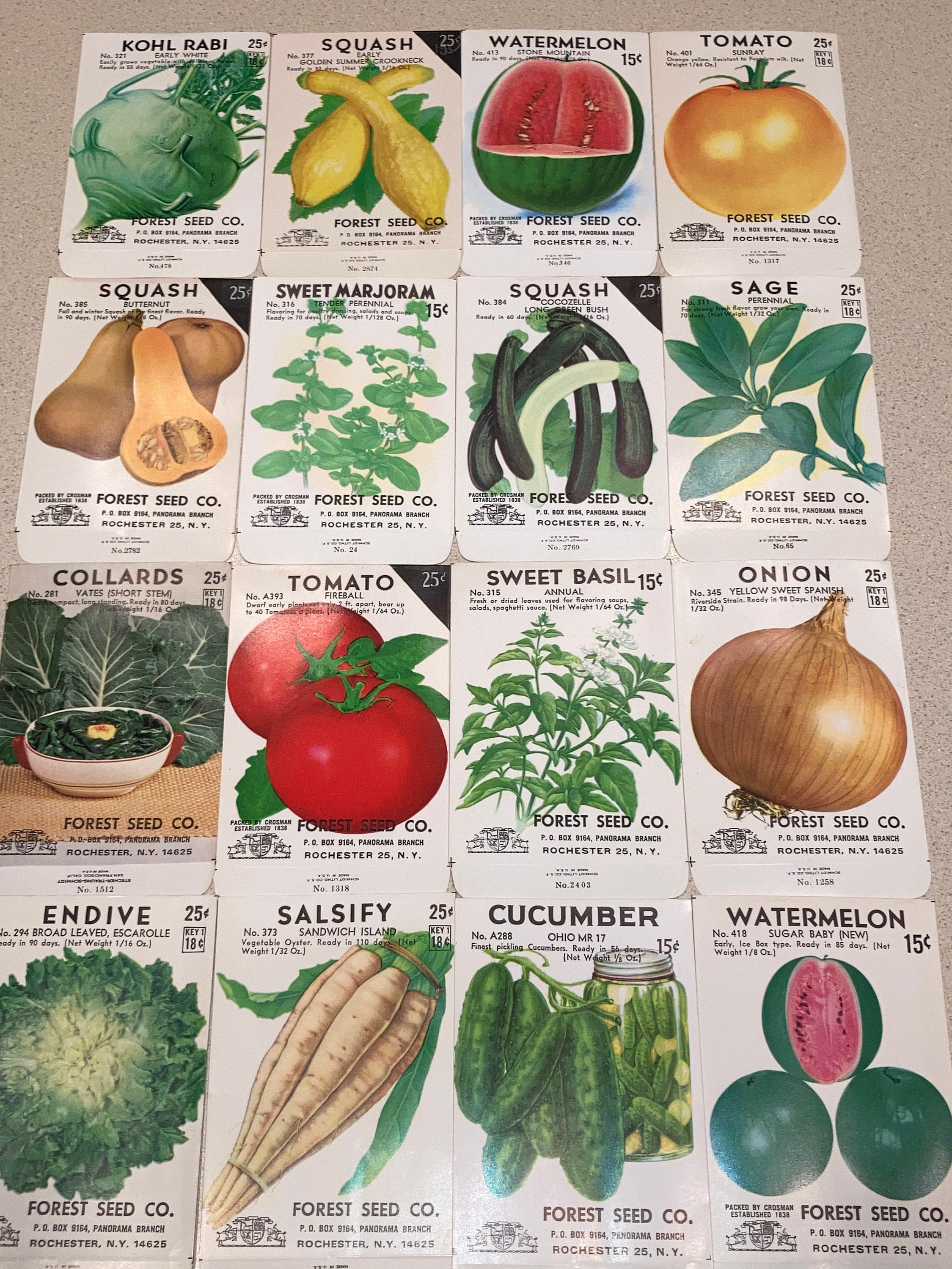 16 Vintage Fruit Vegetable & Herb Seed Packets Forest Seed Co., Rochester NY; Unused Old Stock