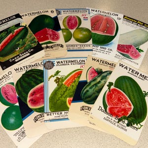 Set of 10 Vintage Watermelon Seed Packets; New Old Stock, Never Used, Authentic Old Packs
