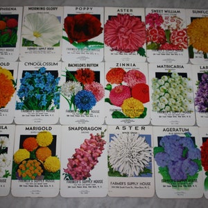 Group of 18 Vintage Unused Flower Seed Packs; Farmer&#39;s Supply House, New Bern, NC; Old Stock! Never Used!
