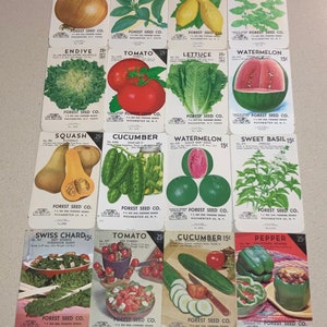 16 Vintage Fruit Vegetable & Herb Seed Packets: Forest Seed Co., Rochester NY; Unused Old Stock; Warehouse Find! NOS Authentic Packs