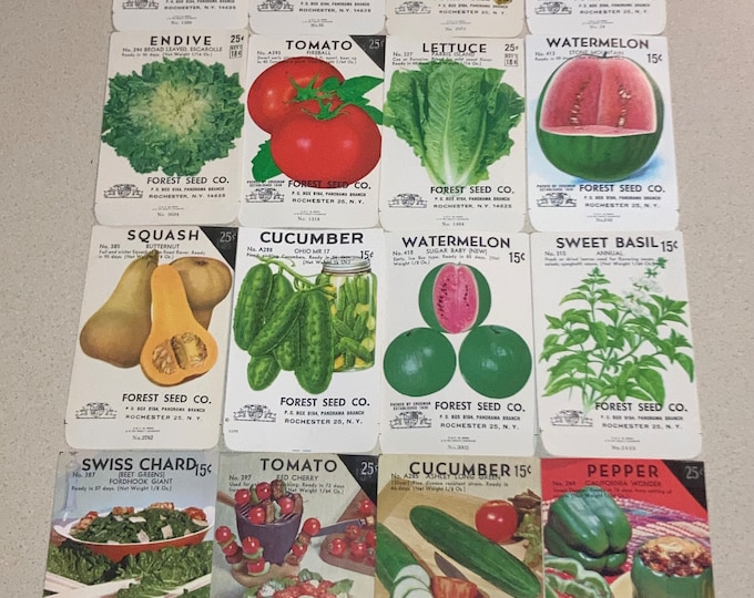 16 Vintage Fruit Vegetable & Herb Seed Packets: Forest Seed Co., Rochester NY; Unused Old Stock; Warehouse Find! NOS Authentic Packs